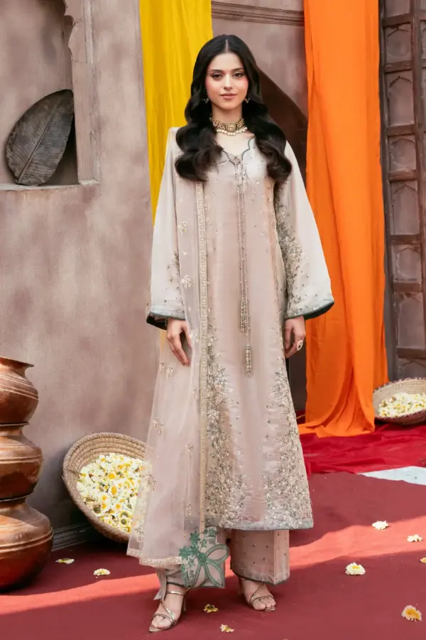 Rangoli collection embroidered sheesha silk suit - Khakhi, X - Large